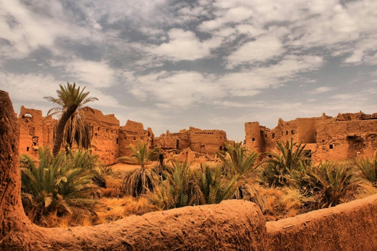 Riyadh Heritage & Desert Adventure - Gallery Image 3