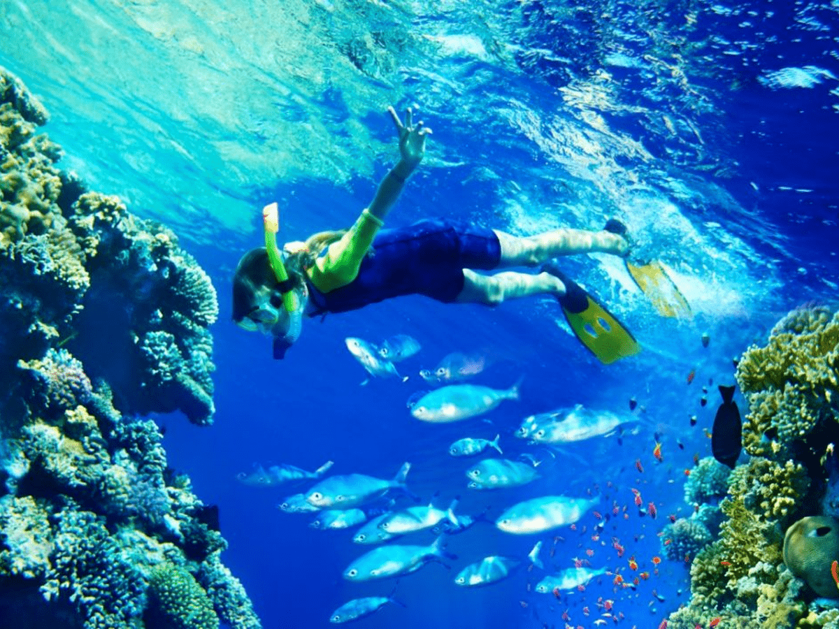 Let The Sea Set You Free – Hurghada