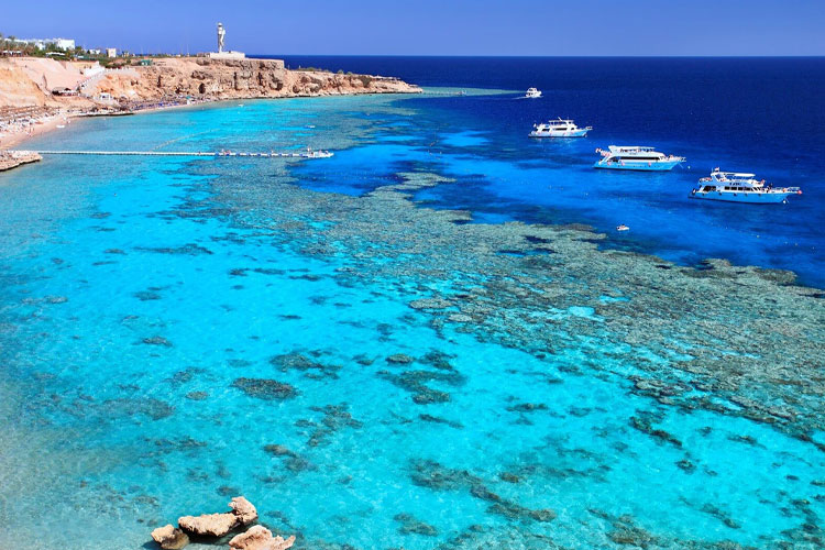 Sharm Marina Escape – Sun, Sea & Serenity