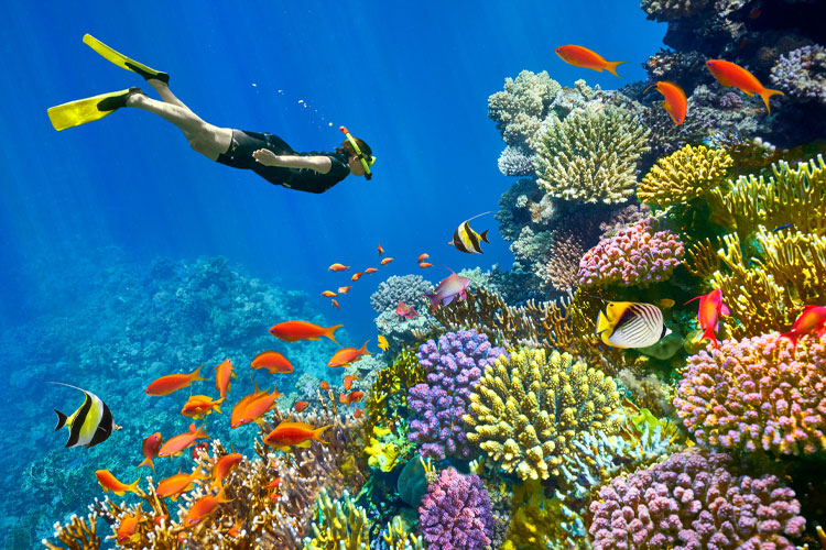 Sharm Marina Escape – Sun, Sea & Serenity - Gallery Image 3