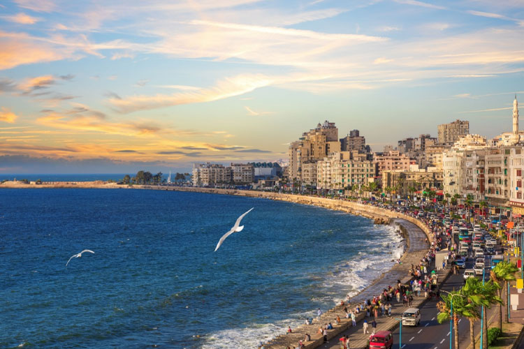 Alexandria Coastal Escape – History & Sea Breeze