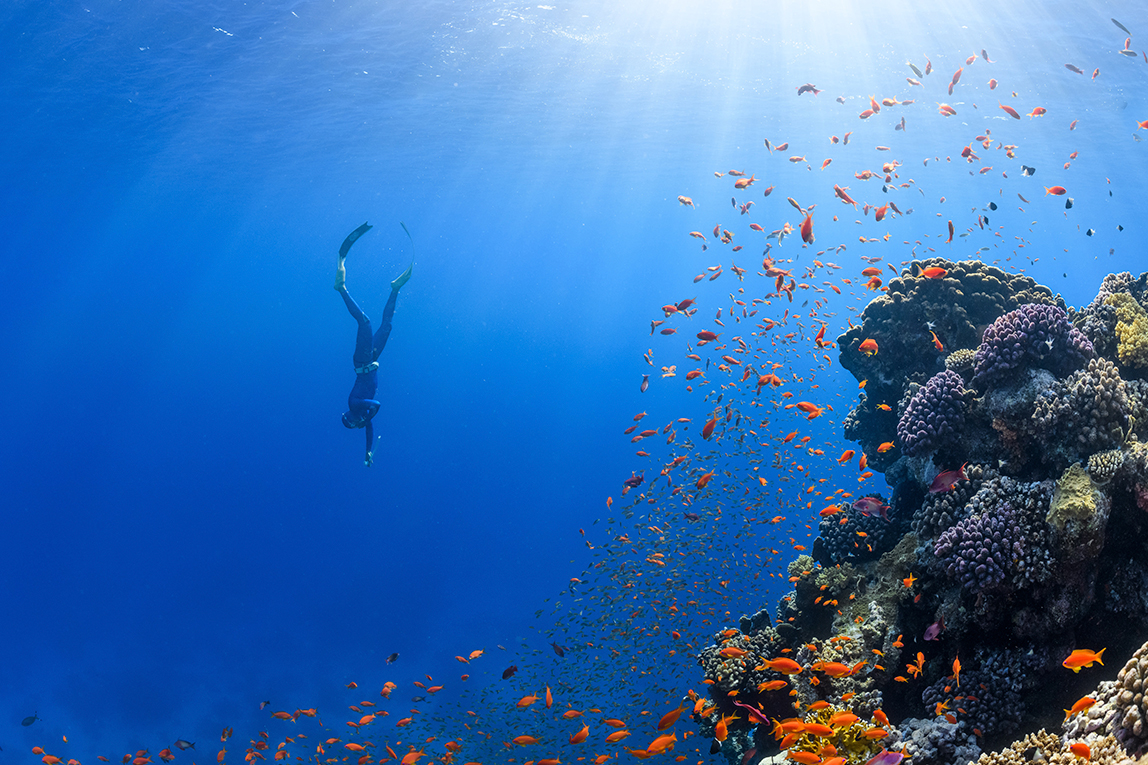 Discover The Kingdom's Cultural & Natural Treasures - Gallery Image 2
