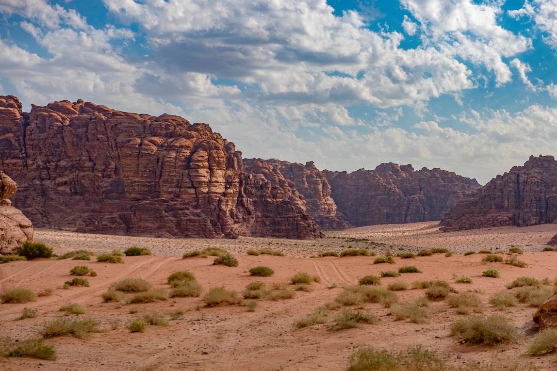 Enhance The Beauty Of The Kingdom  - Gallery Image 4