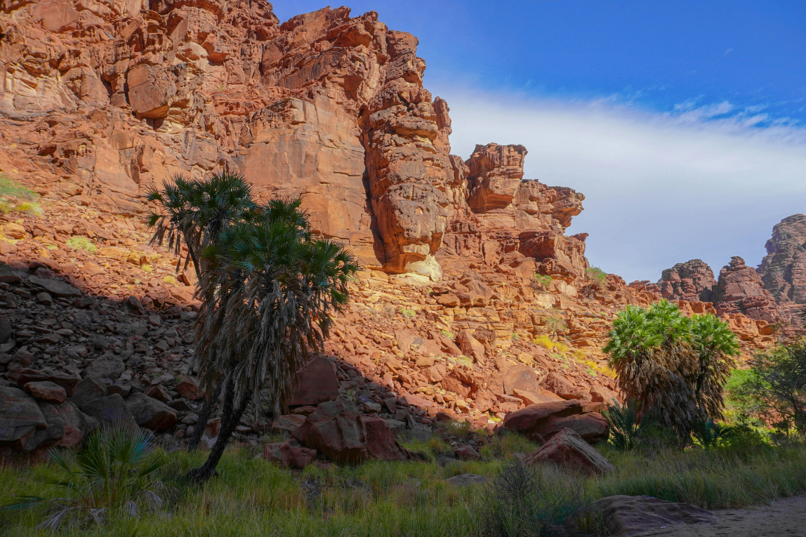 Enhance The Beauty Of The Kingdom  - Gallery Image 5