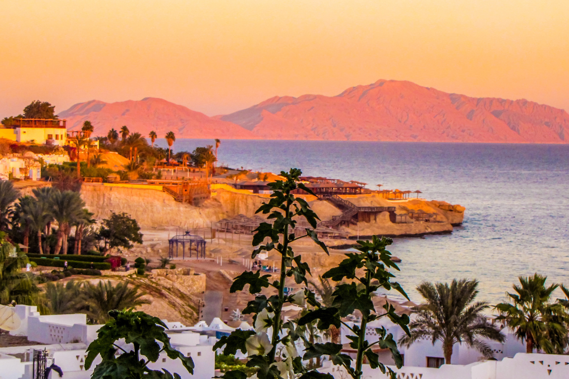 Falcon Naama Star - Gallery Image 5