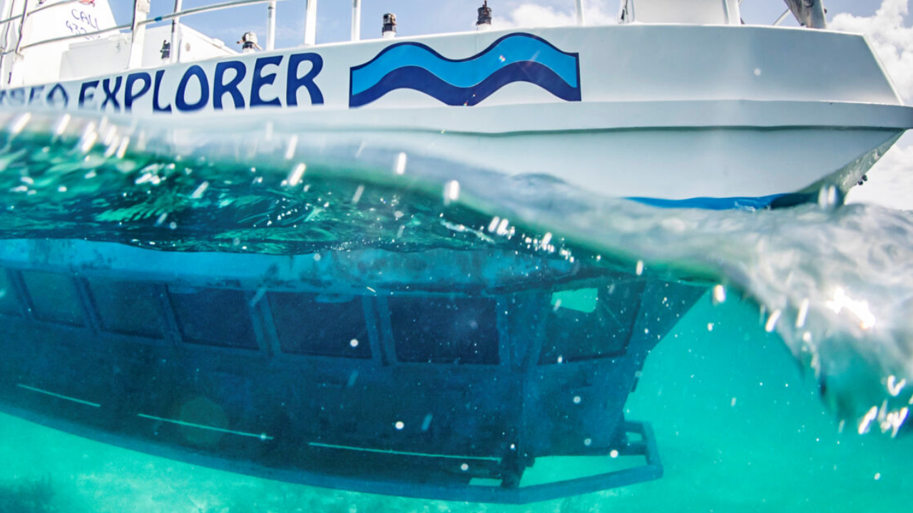 LET THE SEA SET YOU FREE – HURGHADA 2