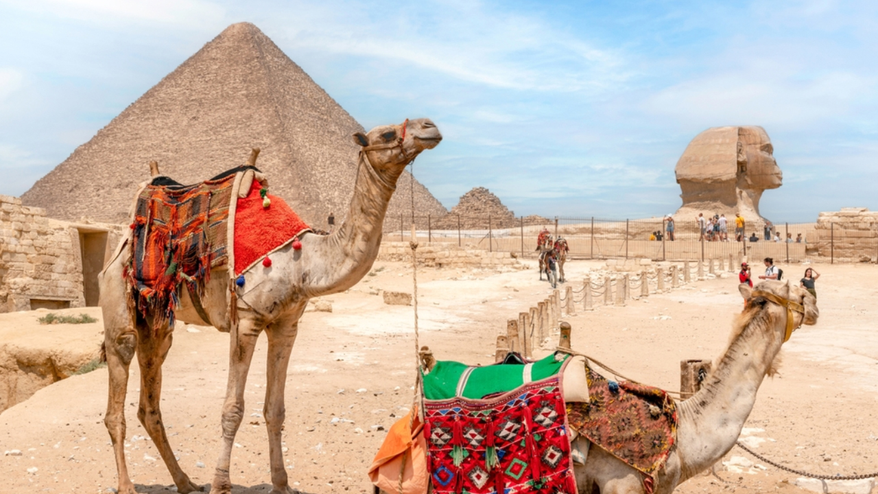 CAIRO & ALEX ADVENTURE