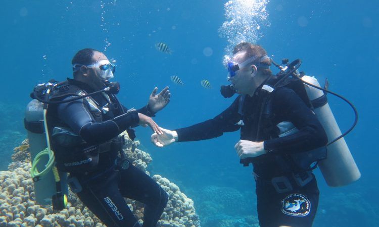 Giza Pyramids & Sphinx Half-Day Tour